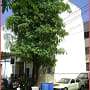 Photo of property 'Townhouse, Townhome for Sale in Khlong Chaokhun Sing, Wang Thonglang, Bangkok' Photo of property 'Townhouse, Townhome for Sale in Khlong Chaokhun Sing, Wang Thonglang, Bangkok'