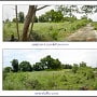 รูปของอสังหา 'ขายที่ดิน เลียบคลอง 11 ฝั่งตะวันออก ใน ศาลาครุ, หนองเสือ, ปทุมธานี' รูปของอสังหา 'ขายที่ดิน เลียบคลอง 11 ฝั่งตะวันออก ใน ศาลาครุ, หนองเสือ, ปทุมธานี'