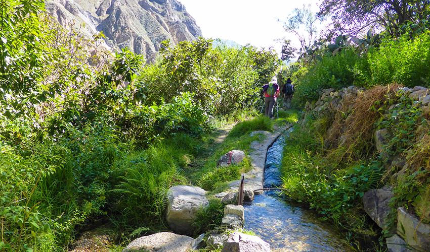 tourhub | Bamba Travel | Colca Canyon Trekking 2D/1N & Transfer to Puno 