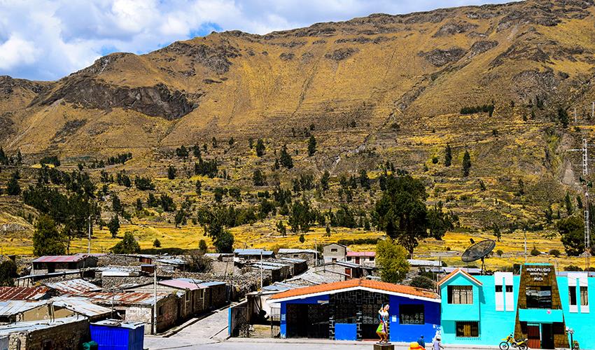 tourhub | Bamba Travel | Colca Canyon Trekking 3D/2N & Transfer to Puno 