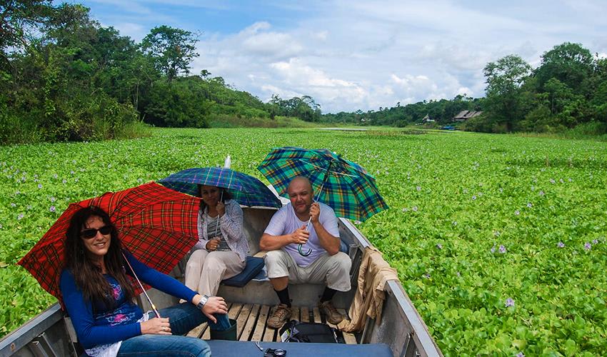 tourhub | Bamba Travel | Iquitos Amazon Jungle Adventure 3D/2N 