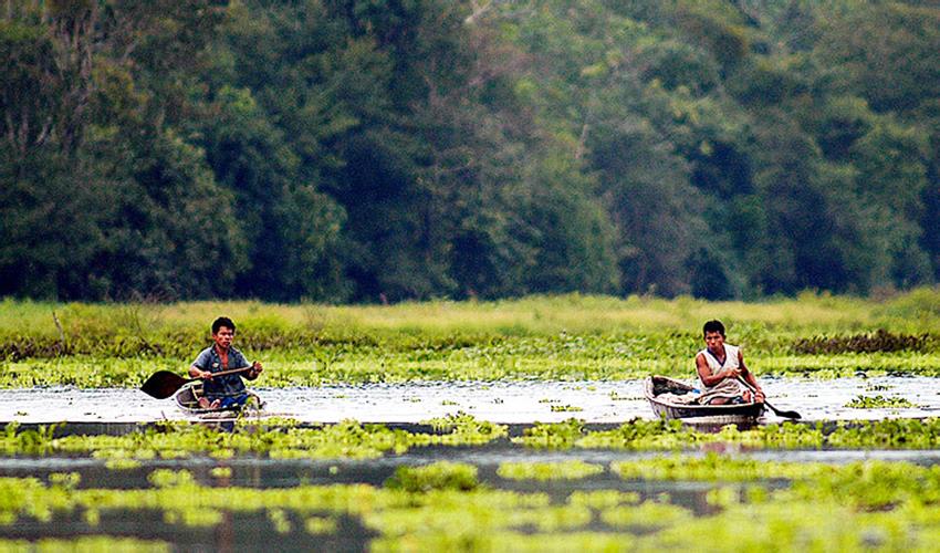 tourhub | Bamba Travel | Iquitos Amazon Jungle Adventure 3D/2N 