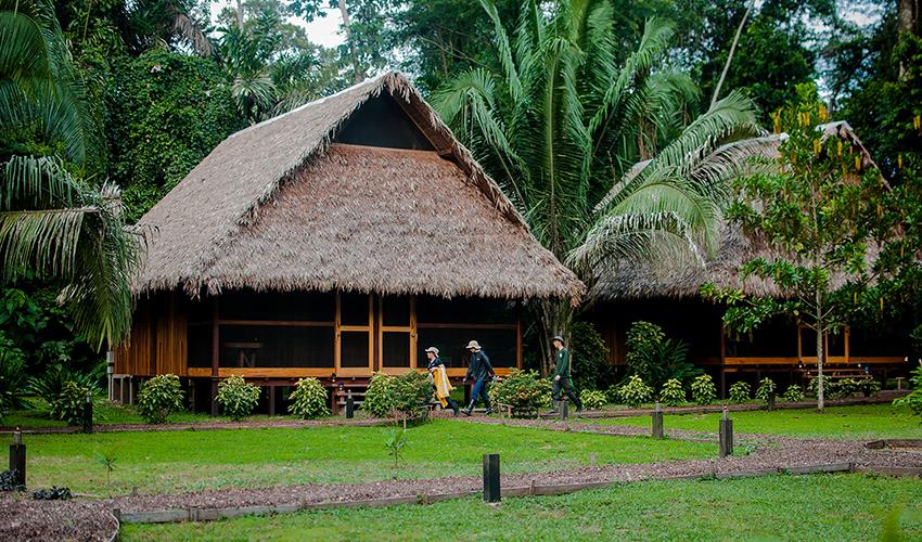 tourhub | Bamba Travel | Puerto Maldonado Amazon Field Station 3D/2N (from Puerto Maldonado) 