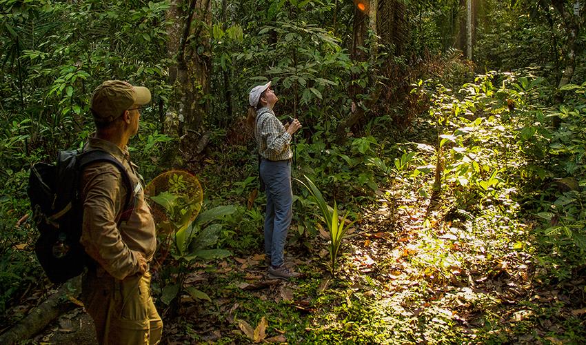 tourhub | Bamba Travel | Puerto Maldonado Amazon Field Station 4D/3N (from Puerto Maldonado) 