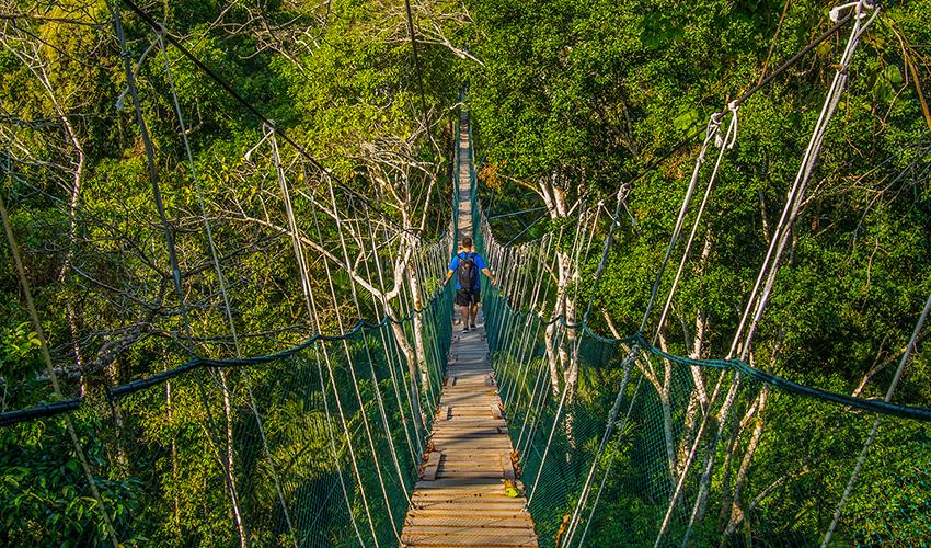 tourhub | Bamba Travel | Puerto Maldonado Amazon Field Station 4D/3N (from Puerto Maldonado) 