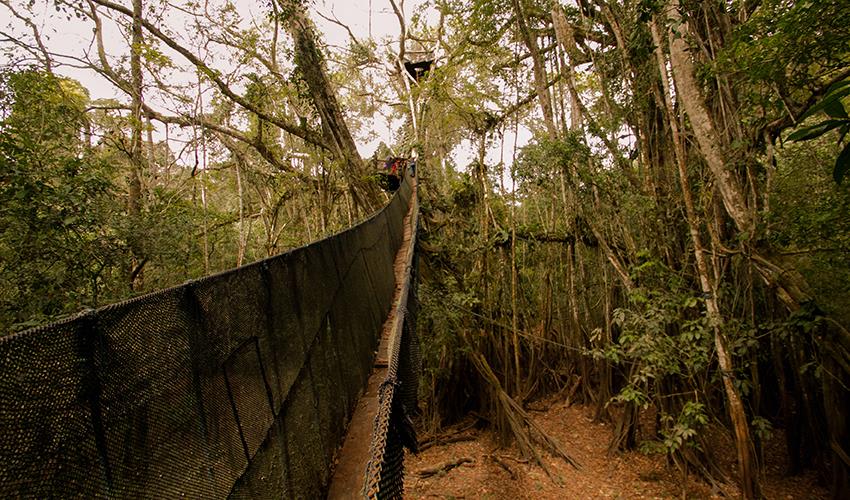 tourhub | Bamba Travel | Puerto Maldonado Amazon Eco-Lodge 5D/4N (from Puerto Maldonado) 