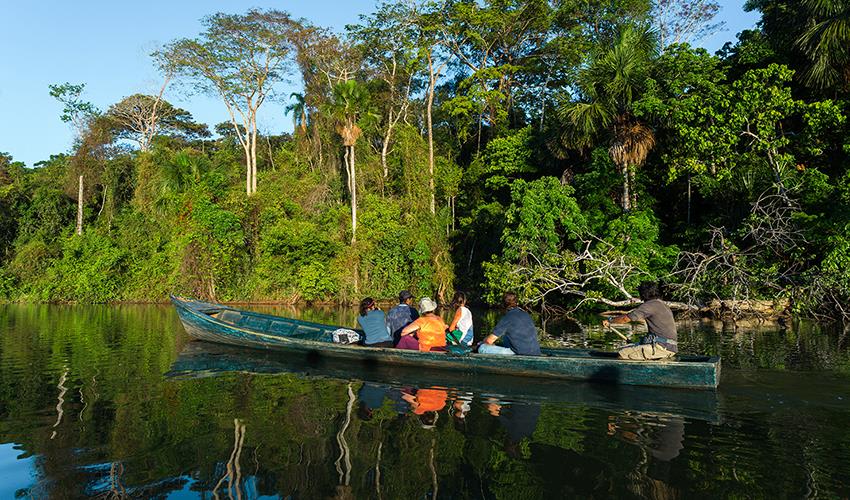 tourhub | Bamba Travel | Puerto Maldonado Amazon Superior Lodge 4D/3N (from Puerto Maldonado) 