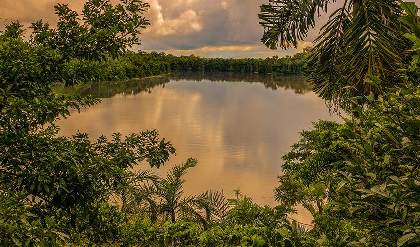 tourhub | Bamba Travel | Puerto Maldonado Amazon Field Station 5D/4N (from Puerto Maldonado) 