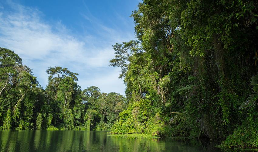 tourhub | Bamba Travel | Tortuguero National Park Adventure 4D/3N 