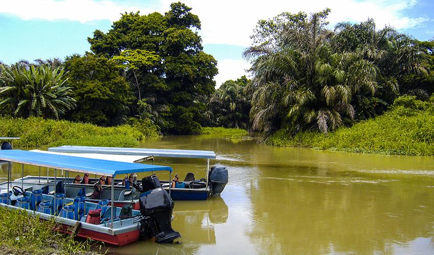 tourhub | Bamba Travel | Tortuguero National Park Adventure 4D/3N 