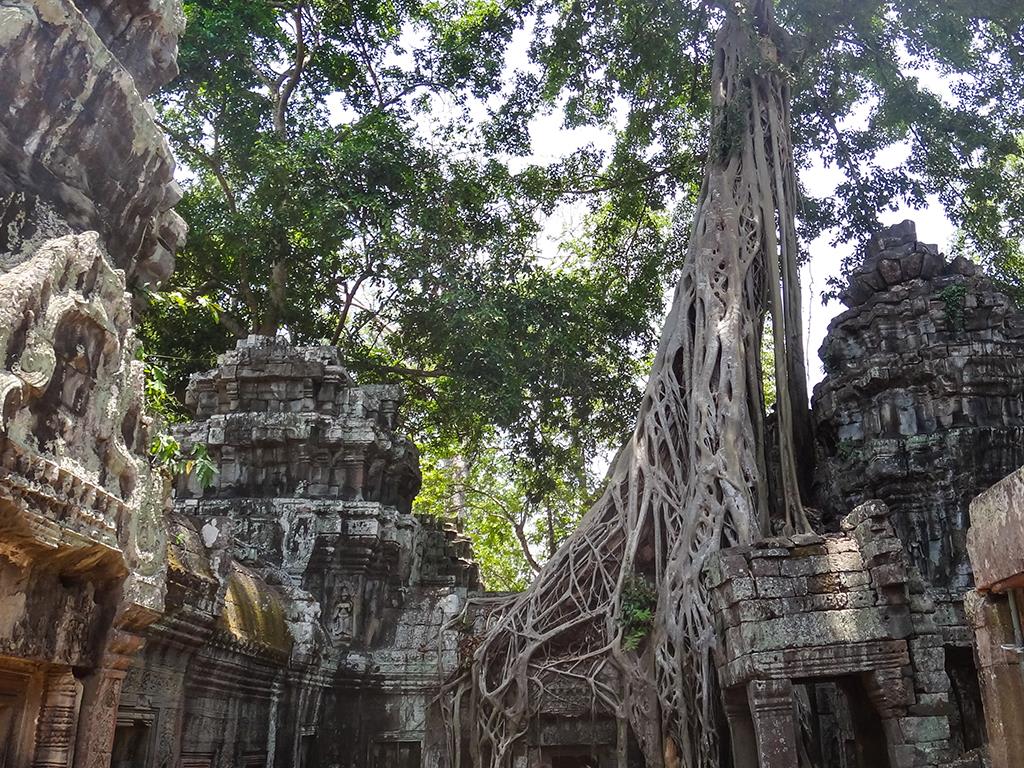 tourhub | Bamba Travel | Angkor Wat & Local Life Experience 3D/2N 