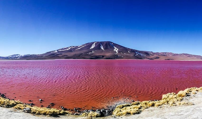 tourhub | Bamba Travel | Uyuni Salt Flats & Desert Adventure 4D/3N (Atacama to Atacama) 