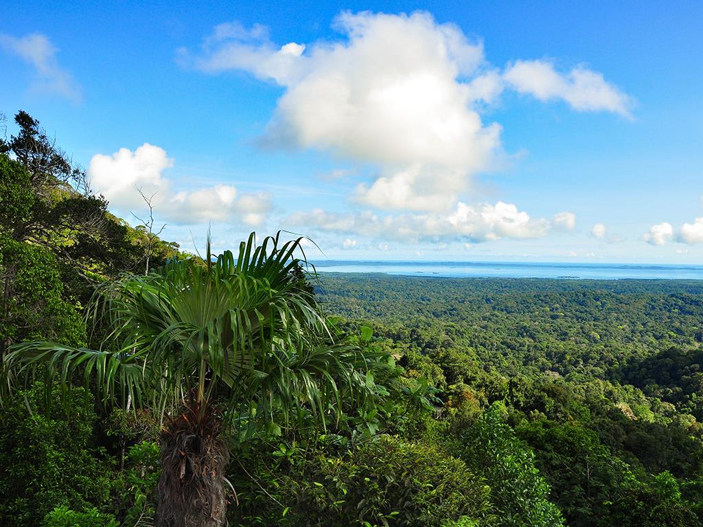 tourhub | Bamba Travel | San Blas Chichime Islands Experience 3D/2N 