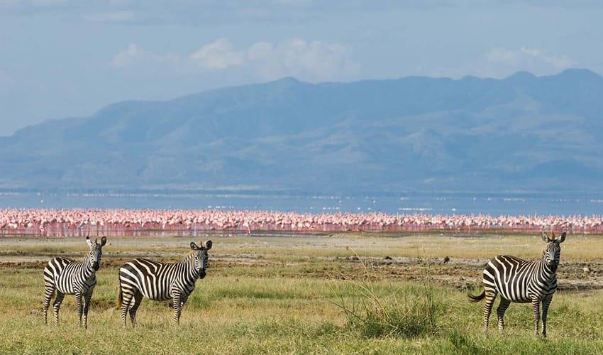 tourhub | Bamba Travel | Kenya & Tanzania 4WD Safari Adventure 10D/9N 