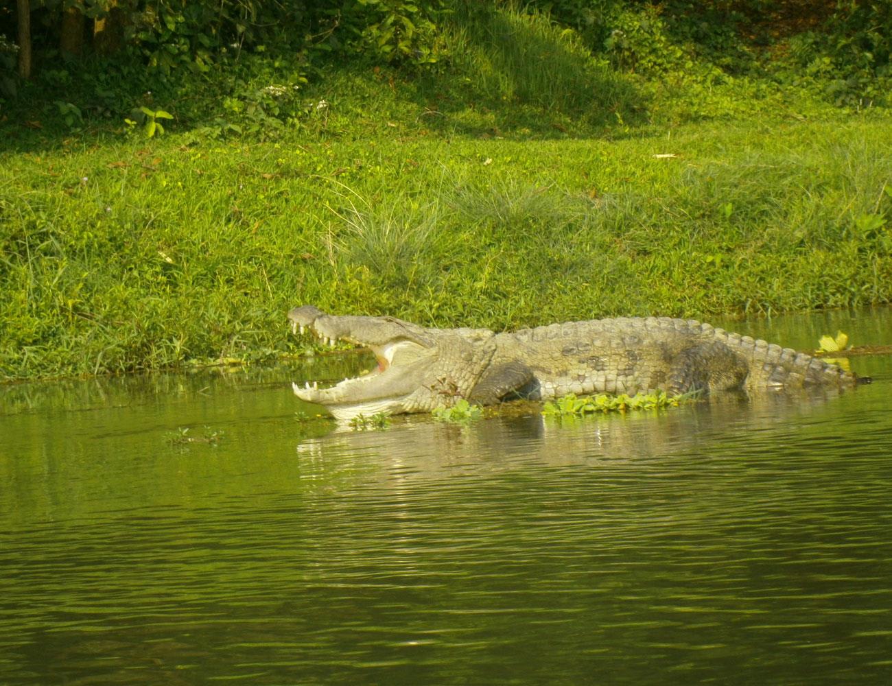 tourhub | Bamba Travel | Chitwan National Park Adventure 3D/2N (from Kathmandu) 