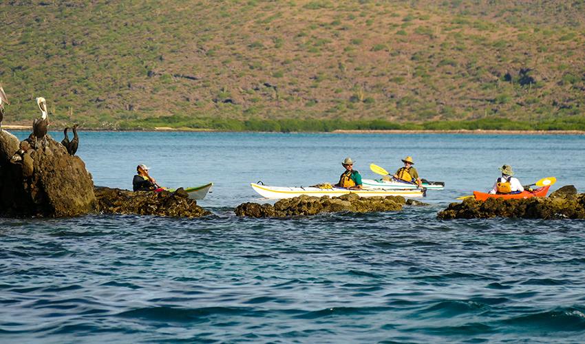 tourhub | Bamba Travel | Baja Kayak Quick Adventure 4D/3N (Fully Catered) 