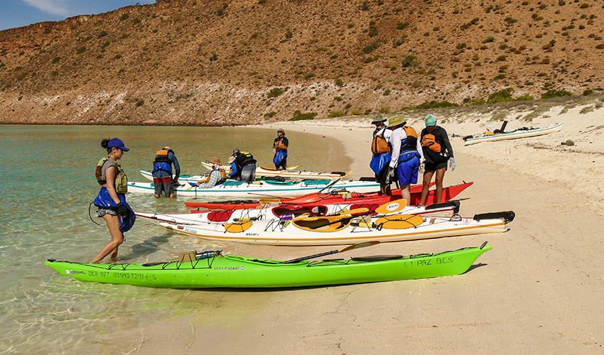 tourhub | Bamba Travel | Baja Kayak Quick Adventure 4D/3N (Fully Catered) 