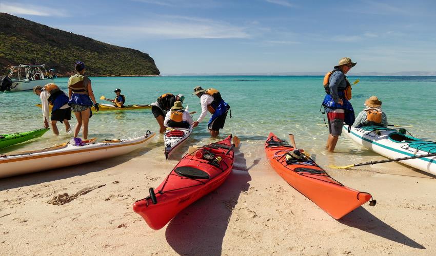 tourhub | Bamba Travel | Baja Kayak Quick Adventure 4D/3N (Fully Catered) 