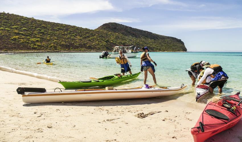 tourhub | Bamba Travel | Baja Kayak Quick Adventure 4D/3N (Fully Catered) 