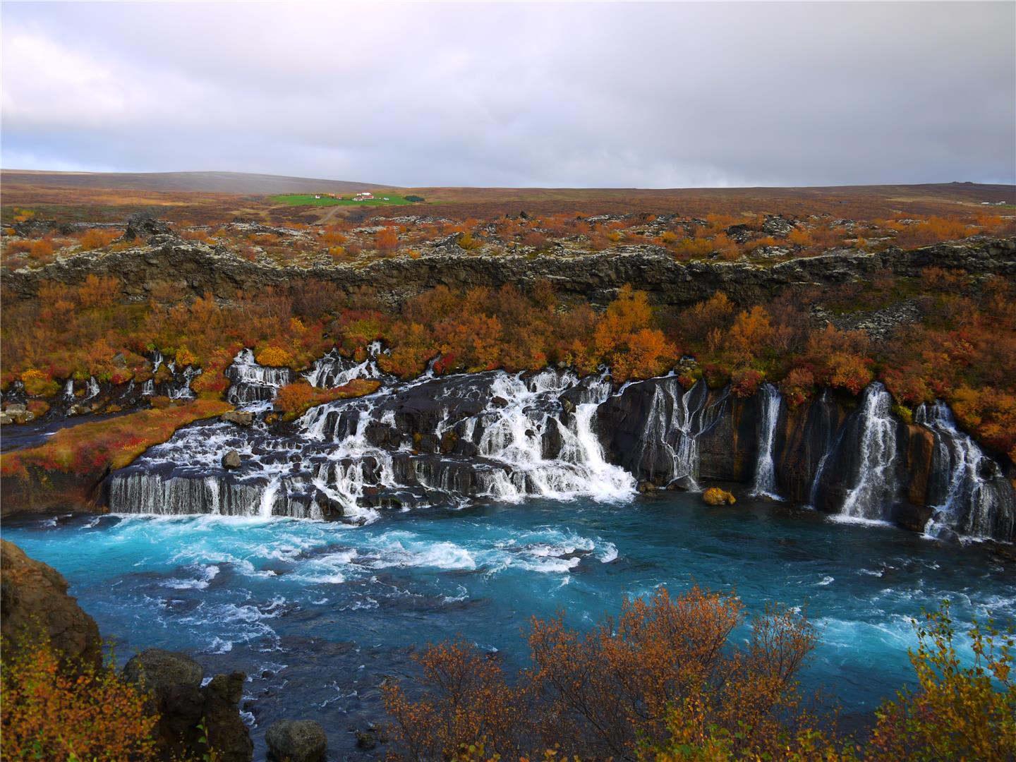 tourhub | Bamba Travel | Iceland Northern Lights Experience 2D/1N 