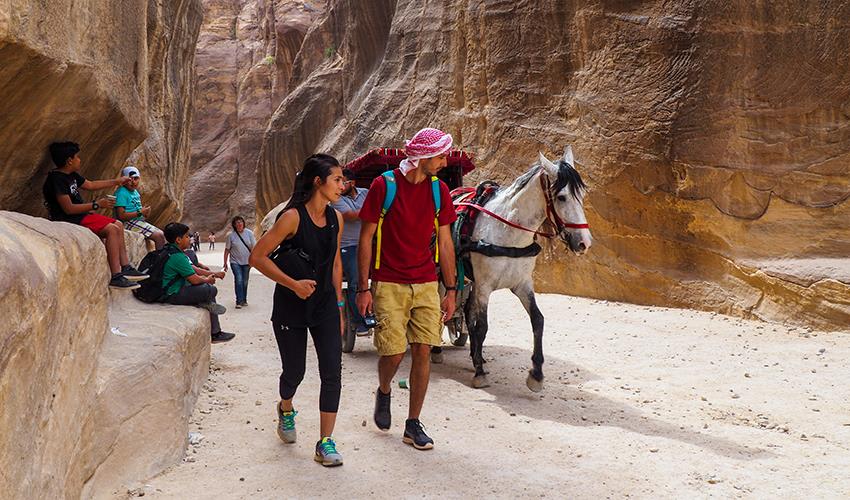 tourhub | Bamba Travel | Petra & Wadi Rum Experience 3D/2N (from Tel Aviv) 