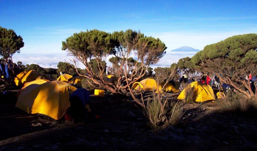 tourhub | Bamba Travel | Mount Kilimanjaro Bamba Trek (Machame Route) 9D/8N 