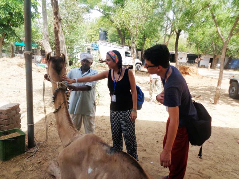 tourhub | Bamba Travel | India Voluntour (Jaipur) 15D/14N 