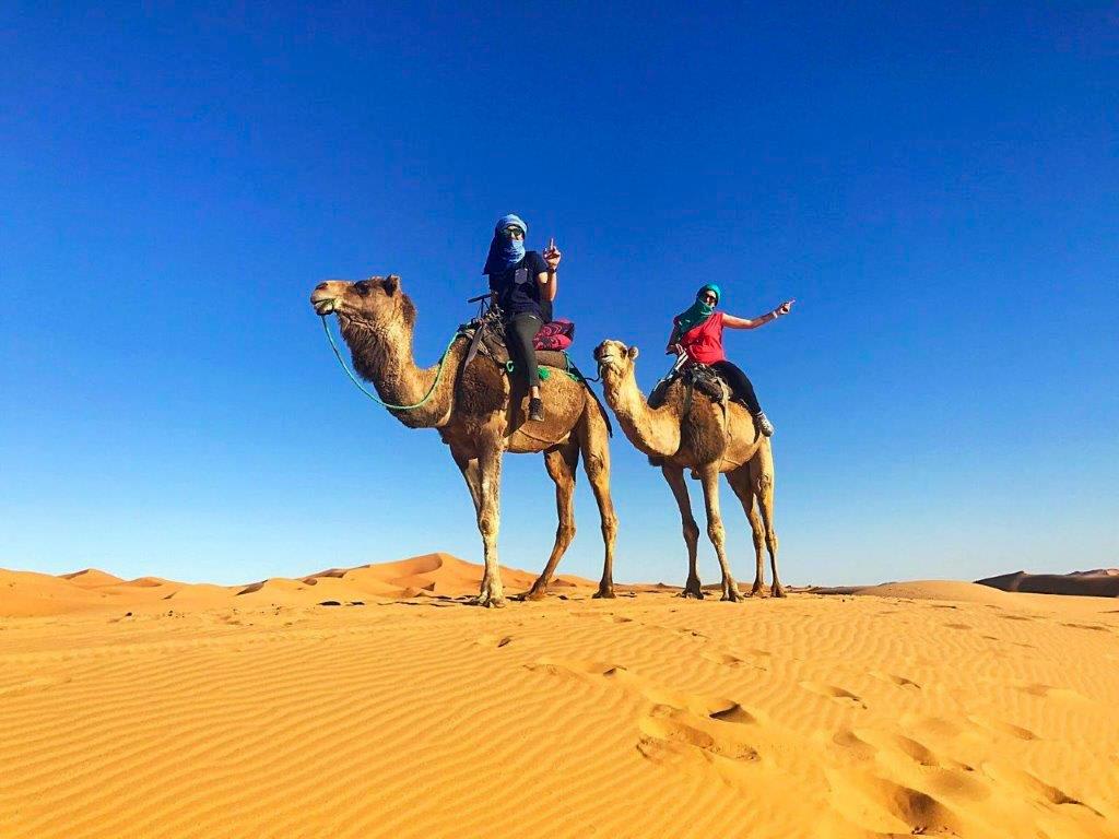 tourhub | Bamba Travel | Morocco Desert Explorer 7D/6N 