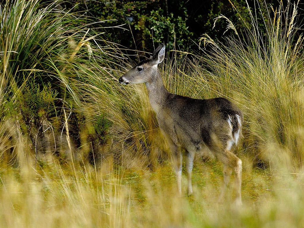 tourhub | Bamba Travel | Natural Ecuador Adventure 7D/6N 