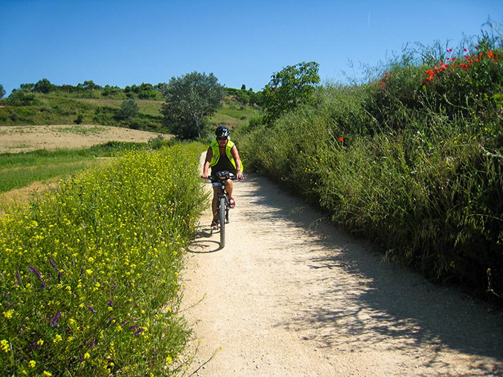 tourhub | Bamba Travel | Camino de Santiago Biking Adventure 7D/6N (from Porto) 