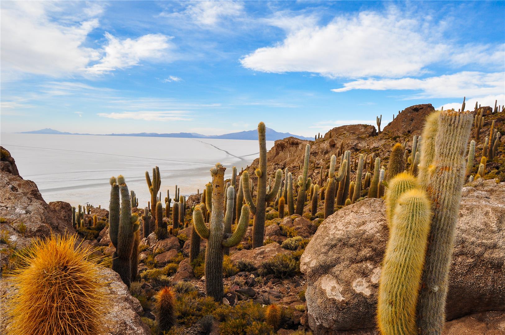 tourhub | Bamba Travel | Bolivia Explorer 8D/7N 