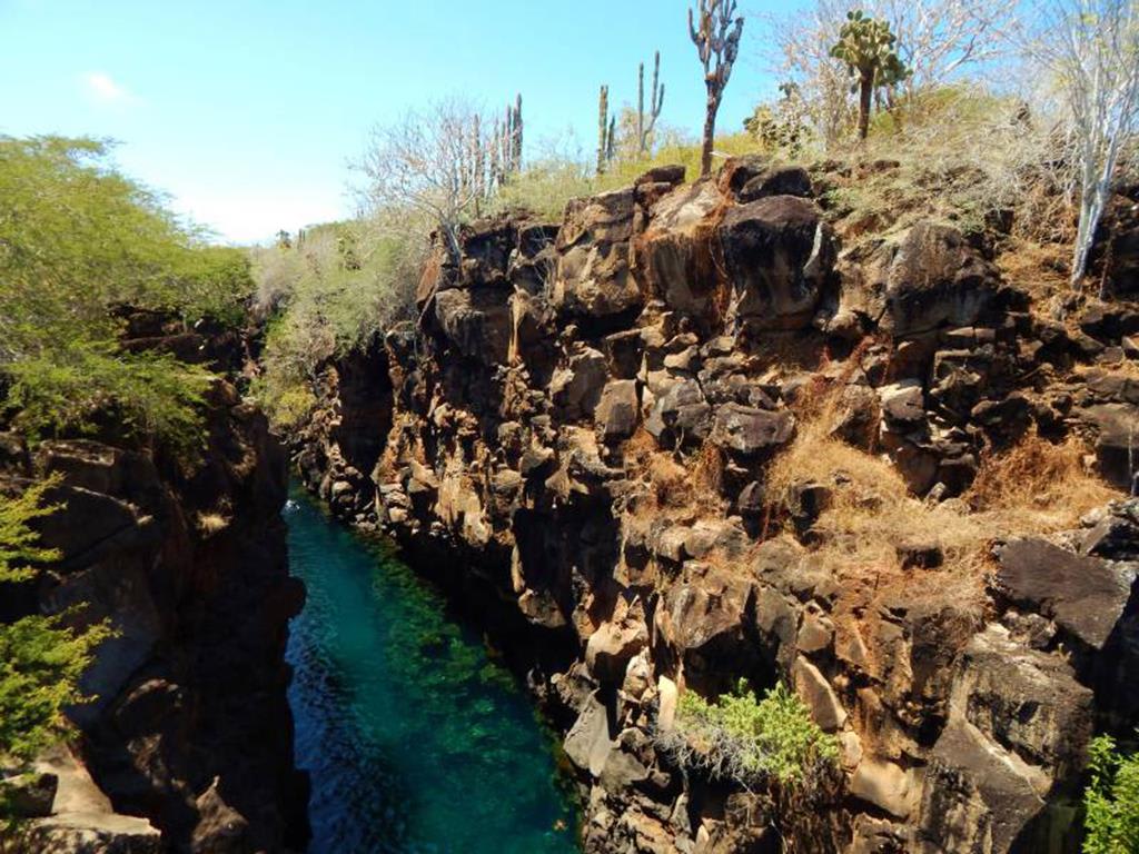 tourhub | Bamba Travel | Galapagos Island Hopping Diving Full Experience 8D/7N 