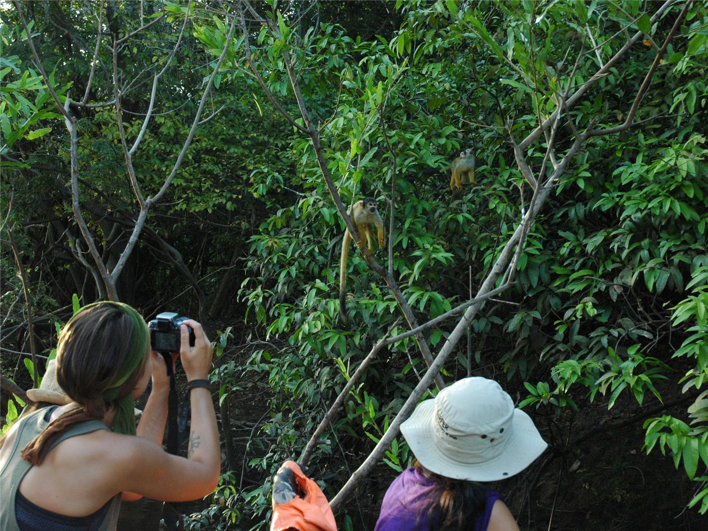 tourhub | Bamba Travel | Madidi Amazon Rainforest Air-Expedition 3D/2N 