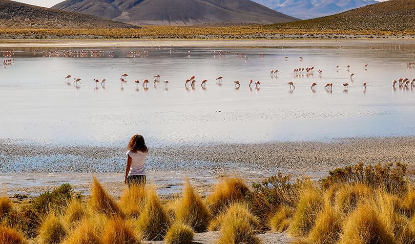 tourhub | Bamba Travel | Uyuni Salt Flats & Desert Adventure 5D/4N (La Paz to La Paz) 