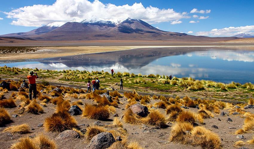 tourhub | Bamba Travel | Uyuni Salt Flats & Desert Adventure 5D/4N (La Paz to La Paz) 