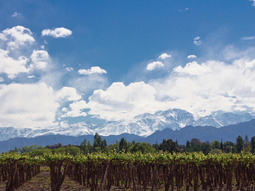 tourhub | Bamba Travel | Mendoza Wine & Mountains Adventure 4D/3N 