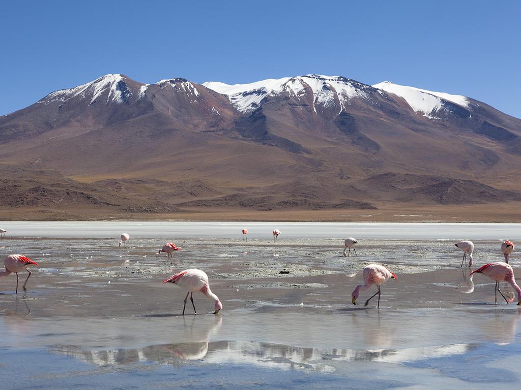 tourhub | Bamba Travel | Salta to La Paz Salt Flats Adventure 10D/9N 