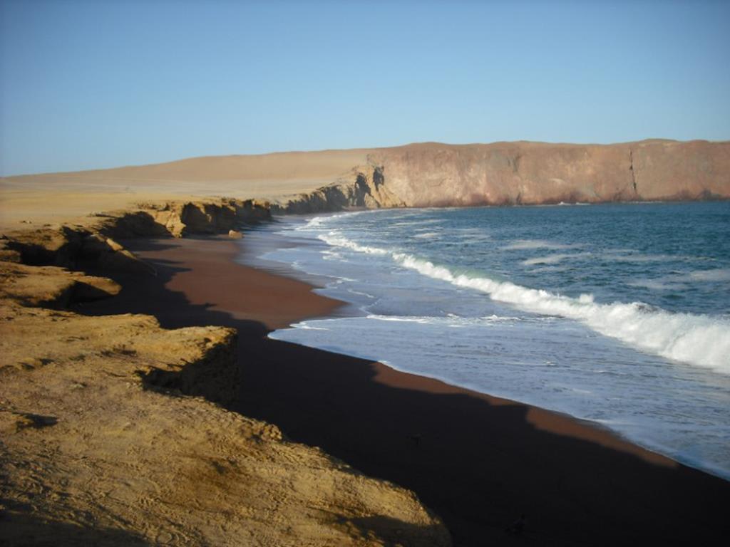 tourhub | Bamba Travel | Ballestas Islands & Sand-Boarding Adventure 2D/1N 