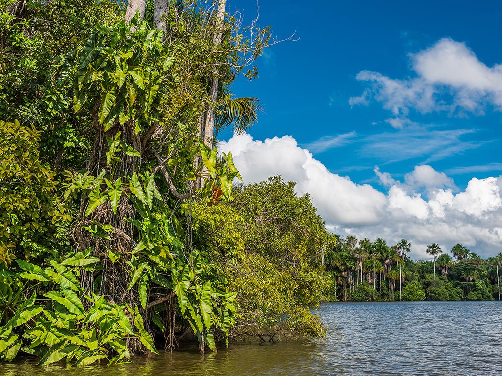 tourhub | Bamba Travel | Puerto Maldonado Amazon Eco-Lodge 6D/5N (from Cuzco) 