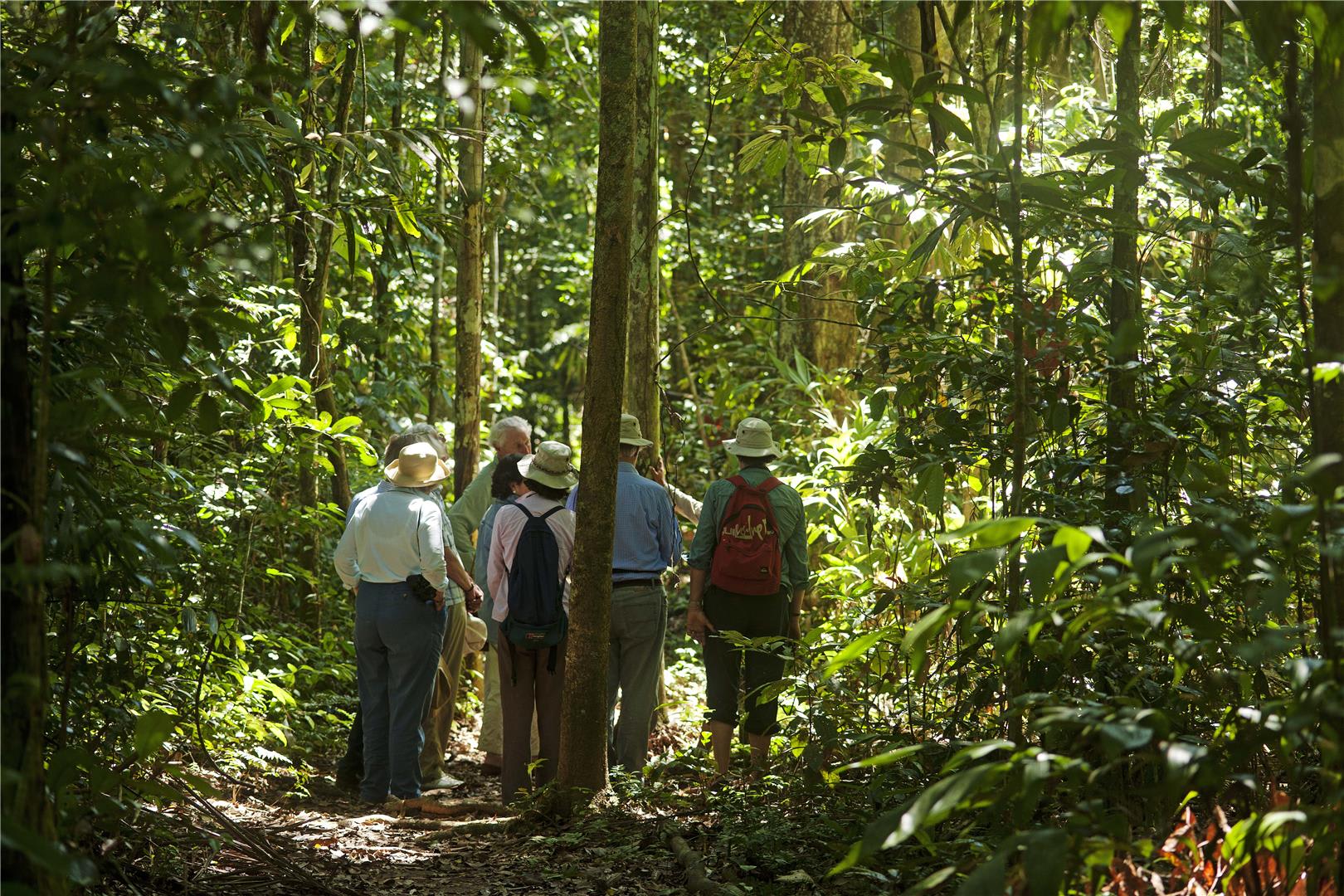 tourhub | Bamba Travel | Puerto Maldonado Amazon Budget Eco-Lodge 6D/5N (from Cuzco) 