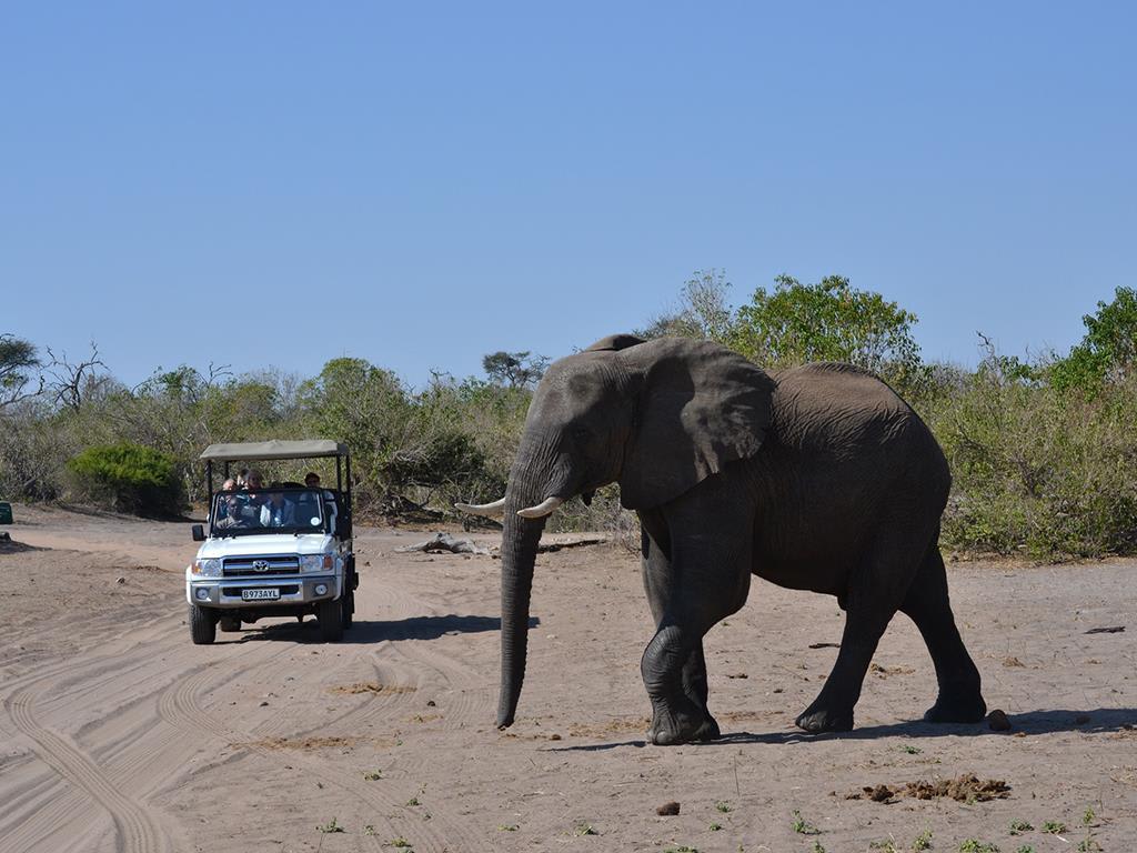 tourhub | Bamba Travel | Victoria Falls & Chobe Xtreme Adventure 5D/4N (from Livingstone) 