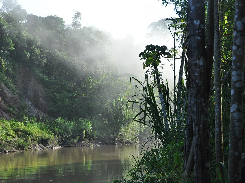 tourhub | Bamba Travel | Rio to the Amazon Air-Expedition 16D/15N 