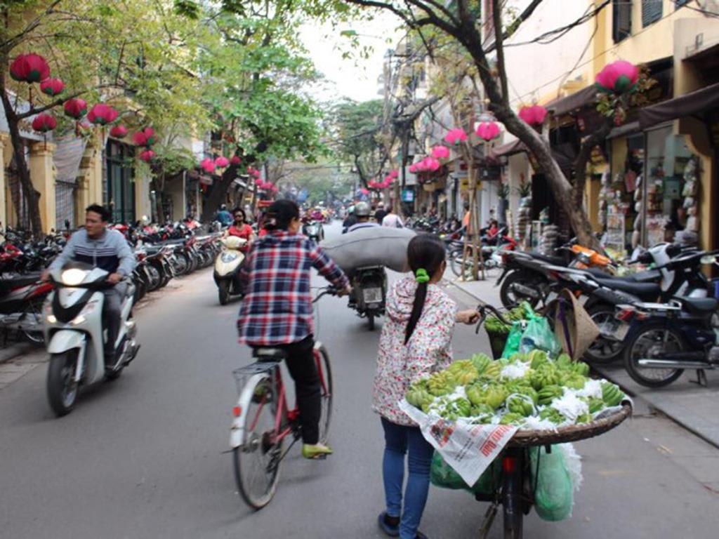 tourhub | Bamba Travel | Vietnam Explorer 15D/14N (from Hanoi) 