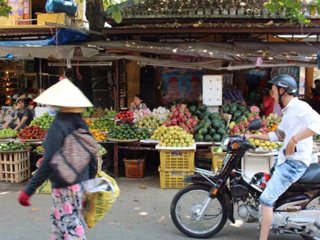 tourhub | Bamba Travel | Vietnam Explorer 15D/14N (from Hanoi) 