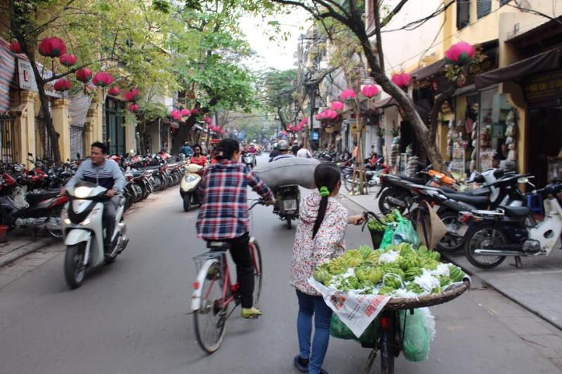 tourhub | Bamba Travel | Vietnam Explorer 15D/14N (from Ho Chi Minh City) 