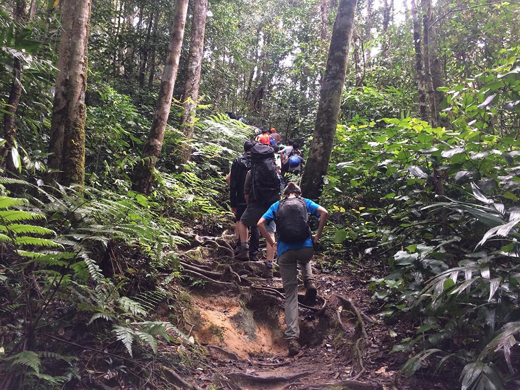 tourhub | Bamba Travel | Malaysia Encompassed Adventure 9D/8N 