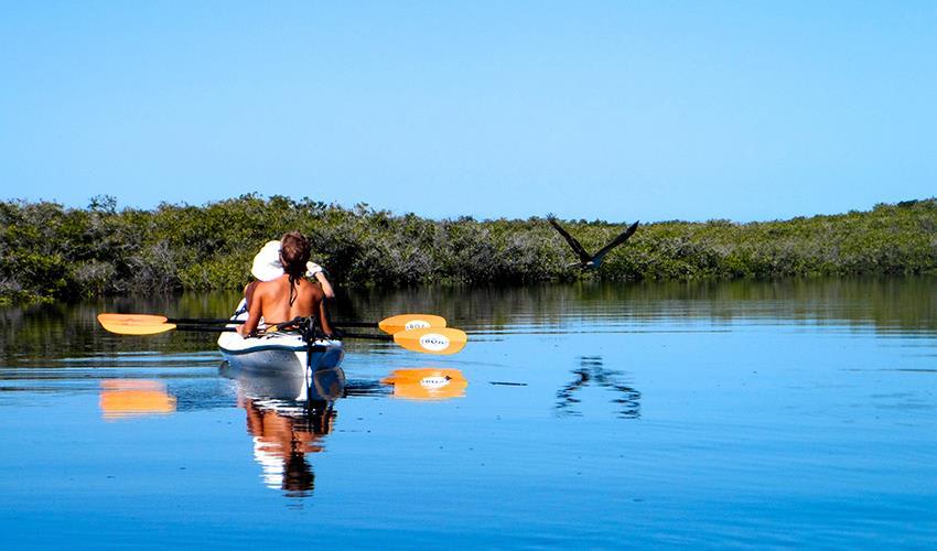 tourhub | Bamba Travel | Baja Kayak Expedition 9D/8N (Cooperatively Catered) 