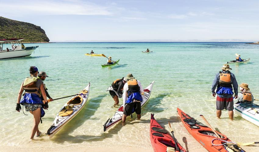 tourhub | Bamba Travel | Baja Kayak Quick Adventure 4D/3N (Cooperatively Catered) 