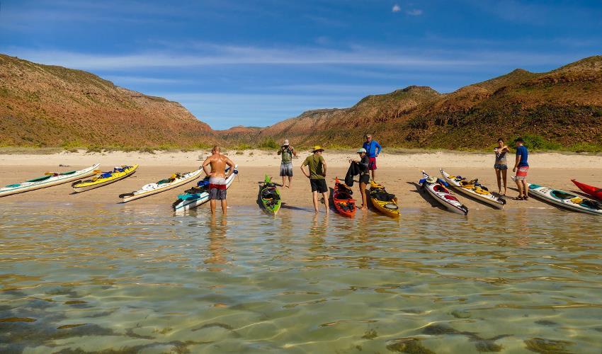 tourhub | Bamba Travel | Baja Kayak Quick Adventure 4D/3N (Cooperatively Catered) 