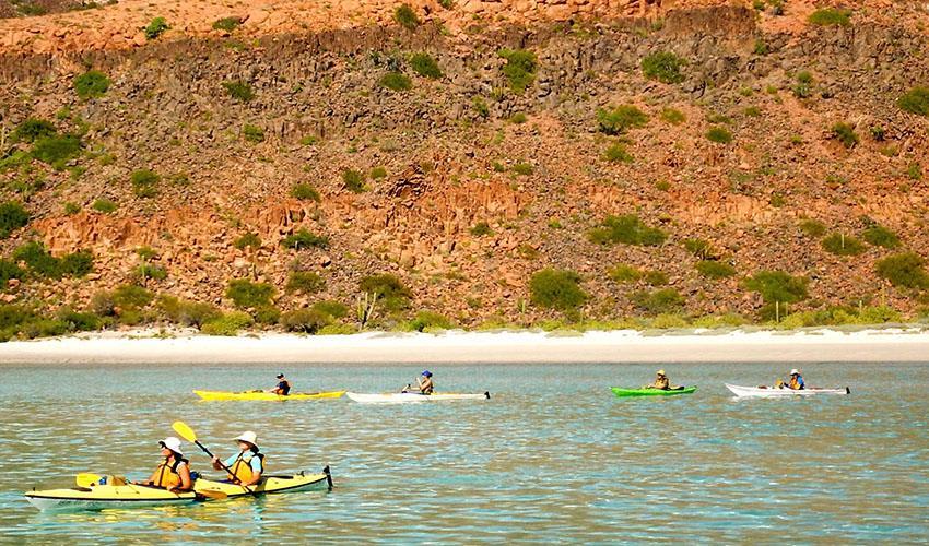 tourhub | Bamba Travel | Baja Kayak Quick Adventure 4D/3N (Cooperatively Catered) 